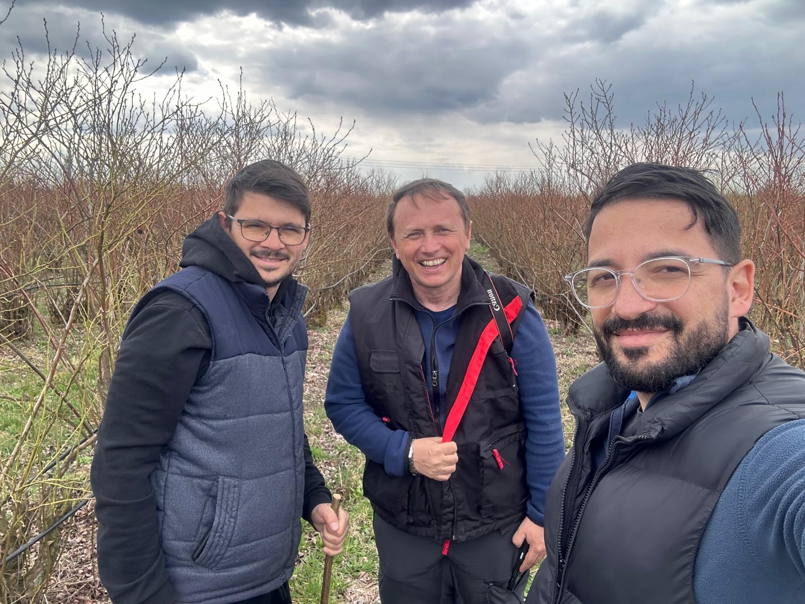 Am vizitat una dintre cele mai vechi plantații de afine din România — și am înțeles ce înseamnă să faci lucrurile cu adevărat bine