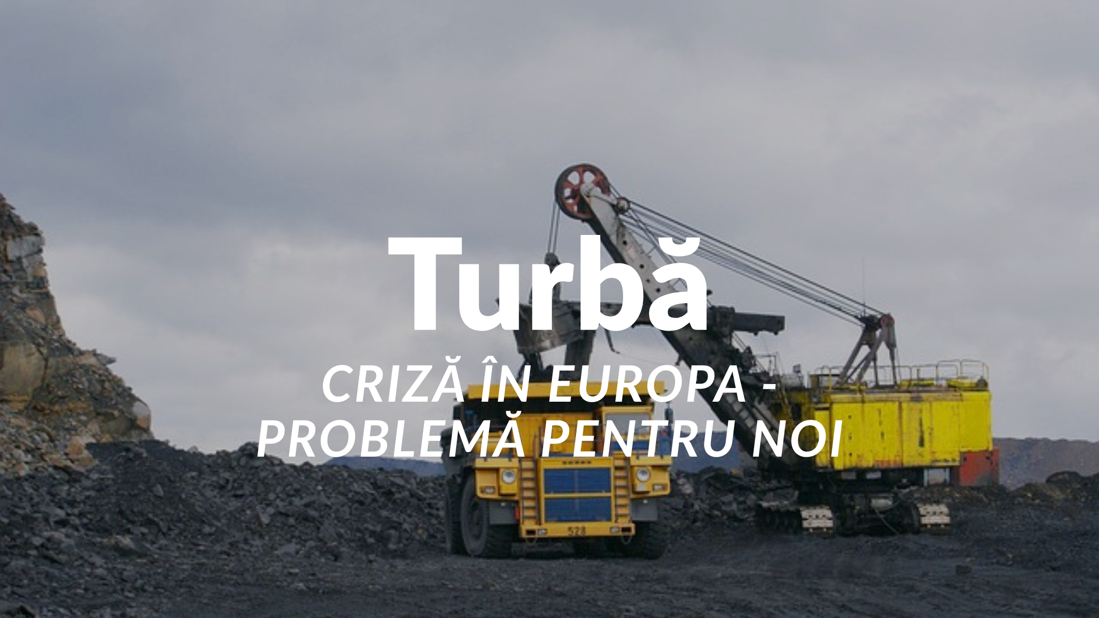 Criză de turbă în Europa — Cum ne afectează plantația